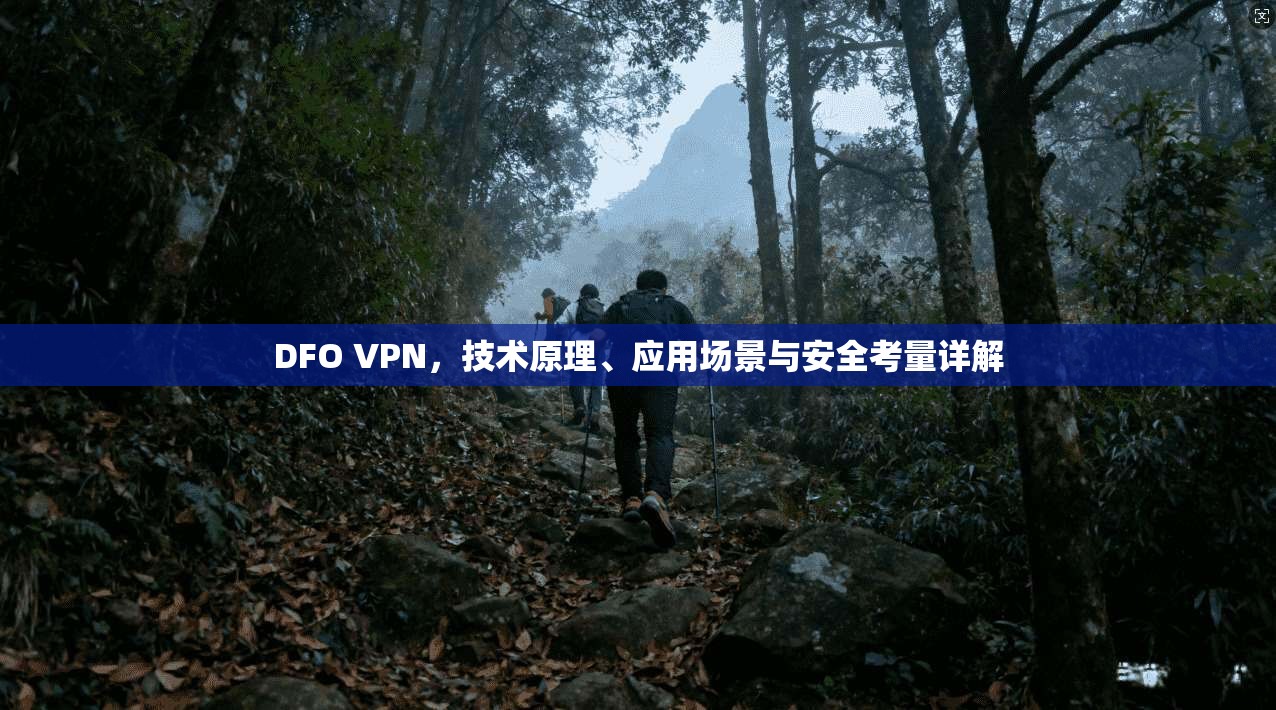 DFO VPN,技术原理、应用场景与安全考量详解