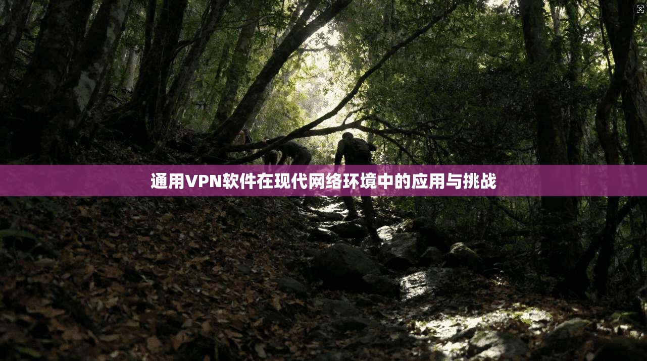 通用VPN软件在现代网络环境中的应用与挑战