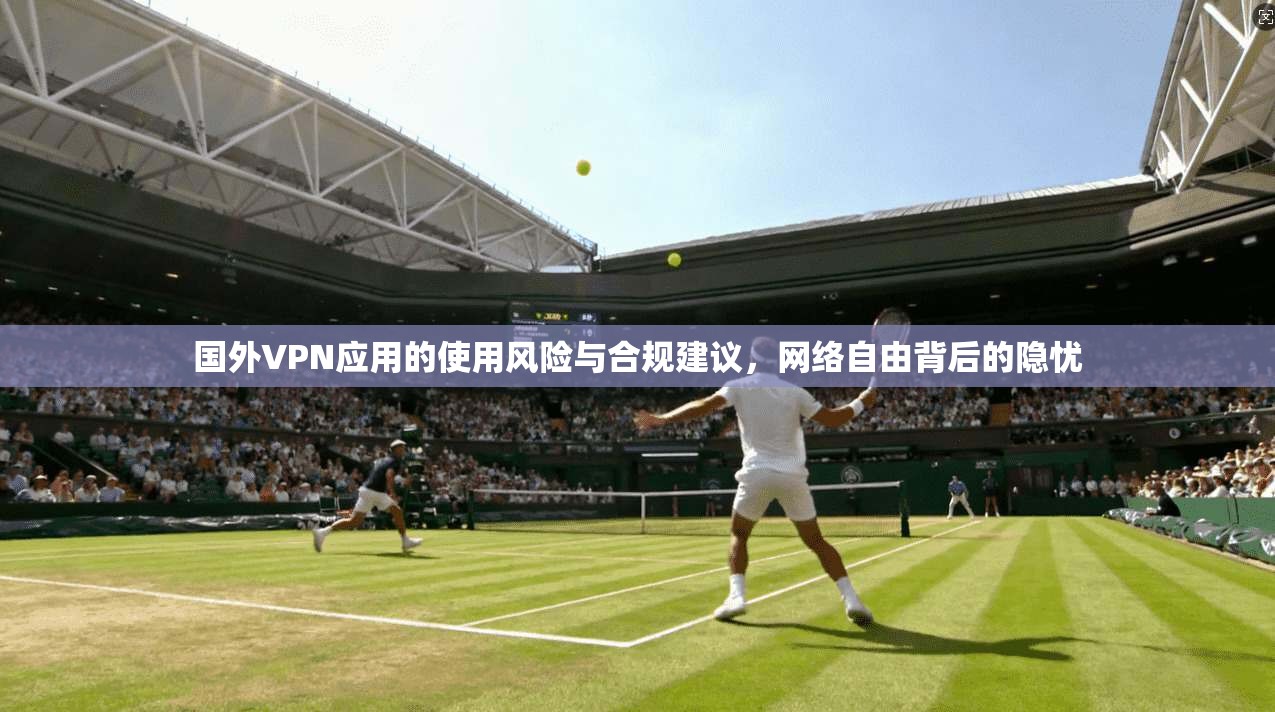 国外VPN应用的使用风险与合规建议,网络自由背后的隐忧 国外VPN应用的使用风险与合规建议,网络自由背后的隐忧