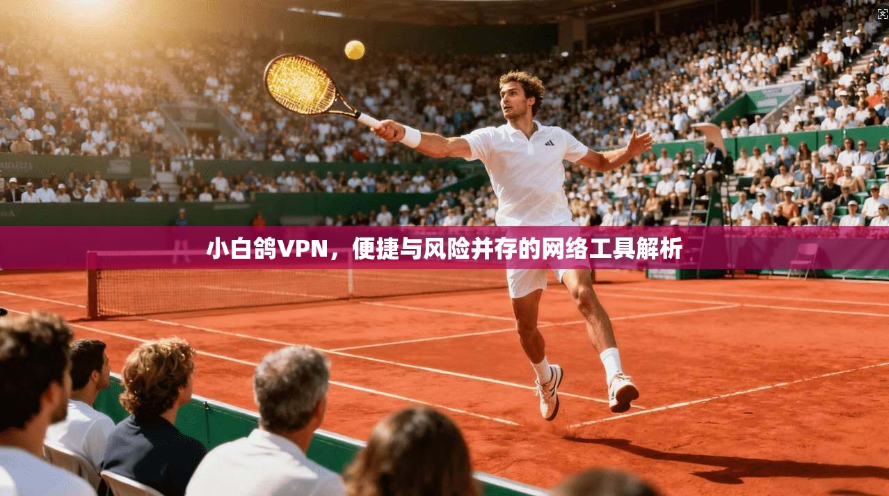 小白鸽VPN,便捷与风险并存的网络工具解析