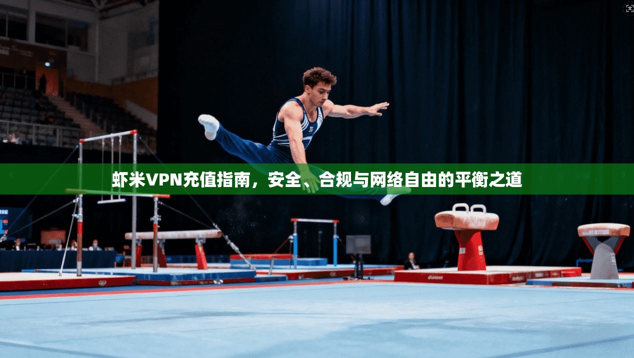 虾米VPN充值指南，安全、合规与网络自由的平衡之道