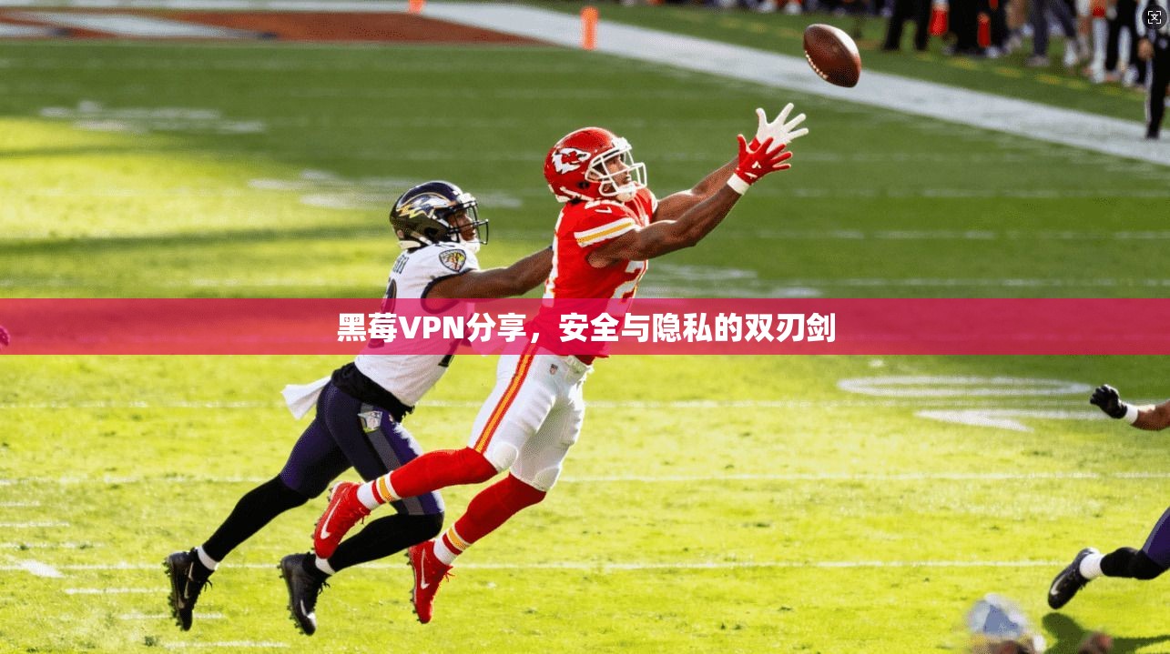 黑莓VPN分享，安全与隐私的双刃剑