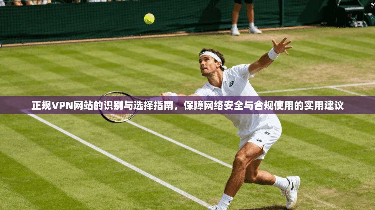 正规VPN网站的识别与选择指南,保障网络安全与合规使用的实用建议
