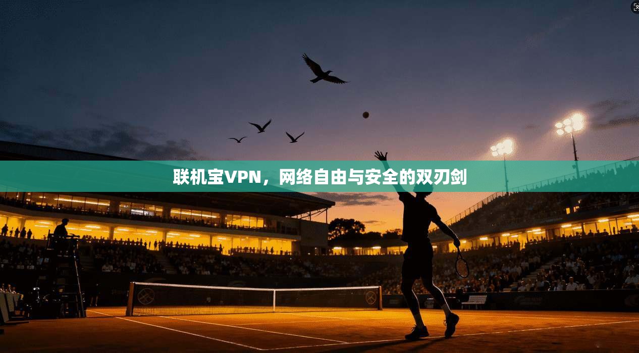 联机宝VPN，网络自由与安全的双刃剑