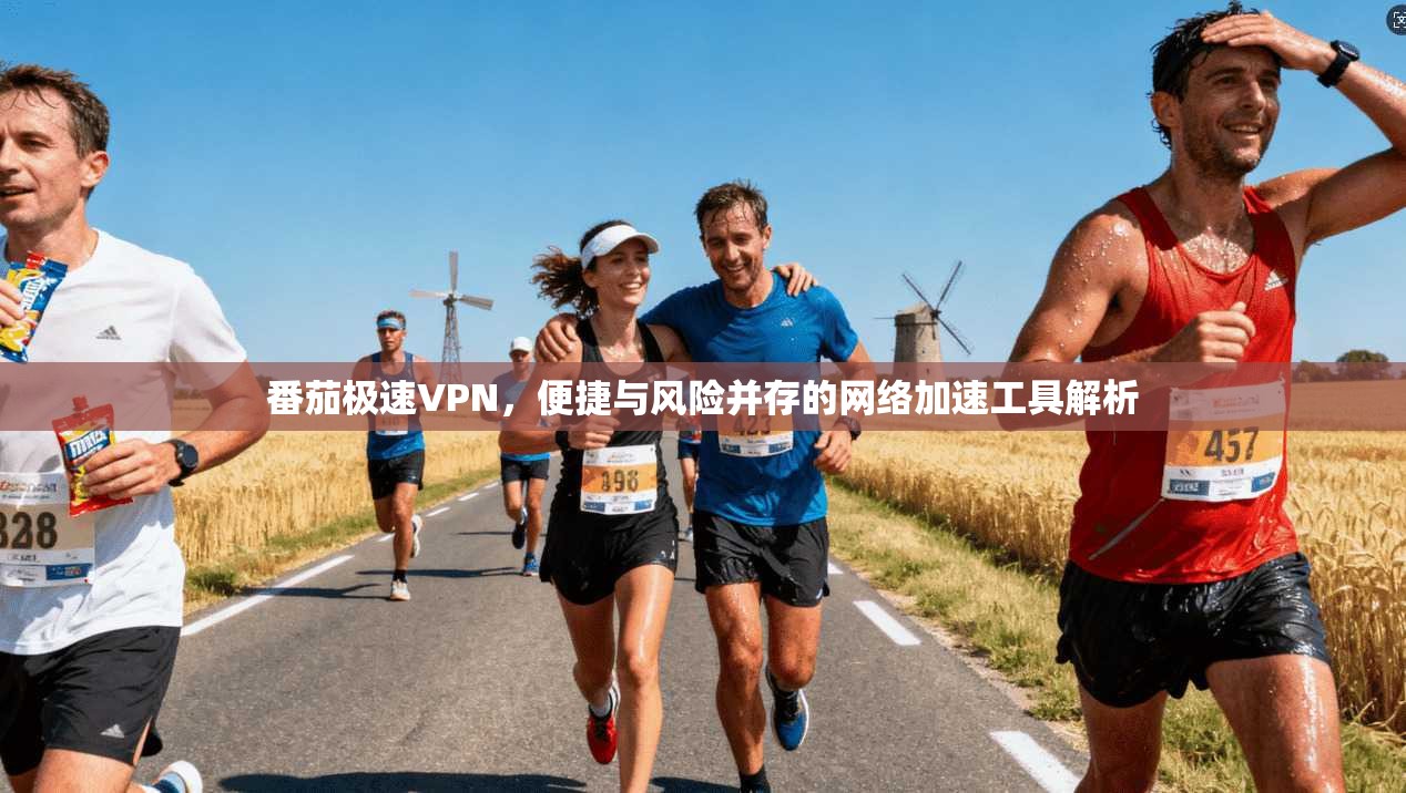 番茄极速VPN,便捷与风险并存的网络加速工具解析 番茄极速VPN,便捷与风险并存的网络加速工具解析