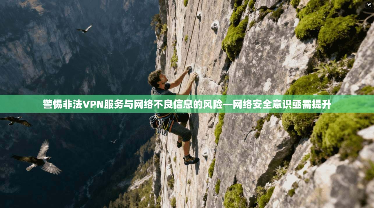 警惕非法VPN服务与网络不良信息的风险—网络安全意识亟需提升