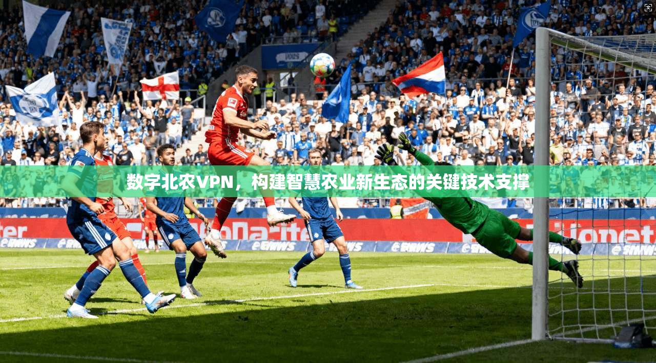 数字北农VPN，构建智慧农业新生态的关键技术支撑