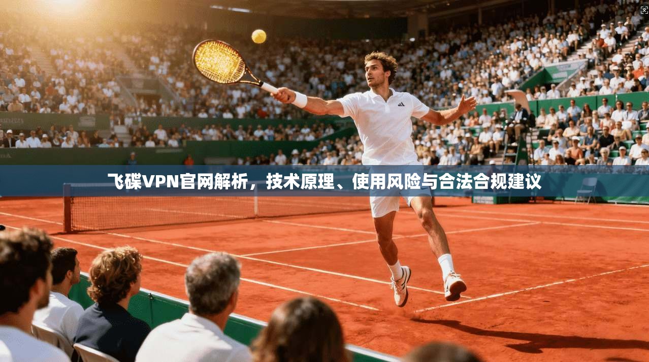 飞碟VPN官网解析，技术原理、使用风险与合法合规建议