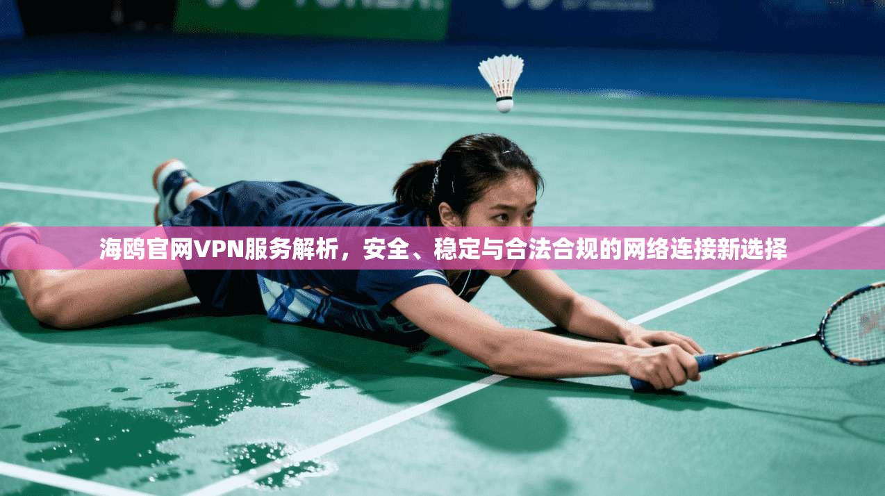 海鸥官网VPN服务解析，安全、稳定与合法合规的网络连接新选择