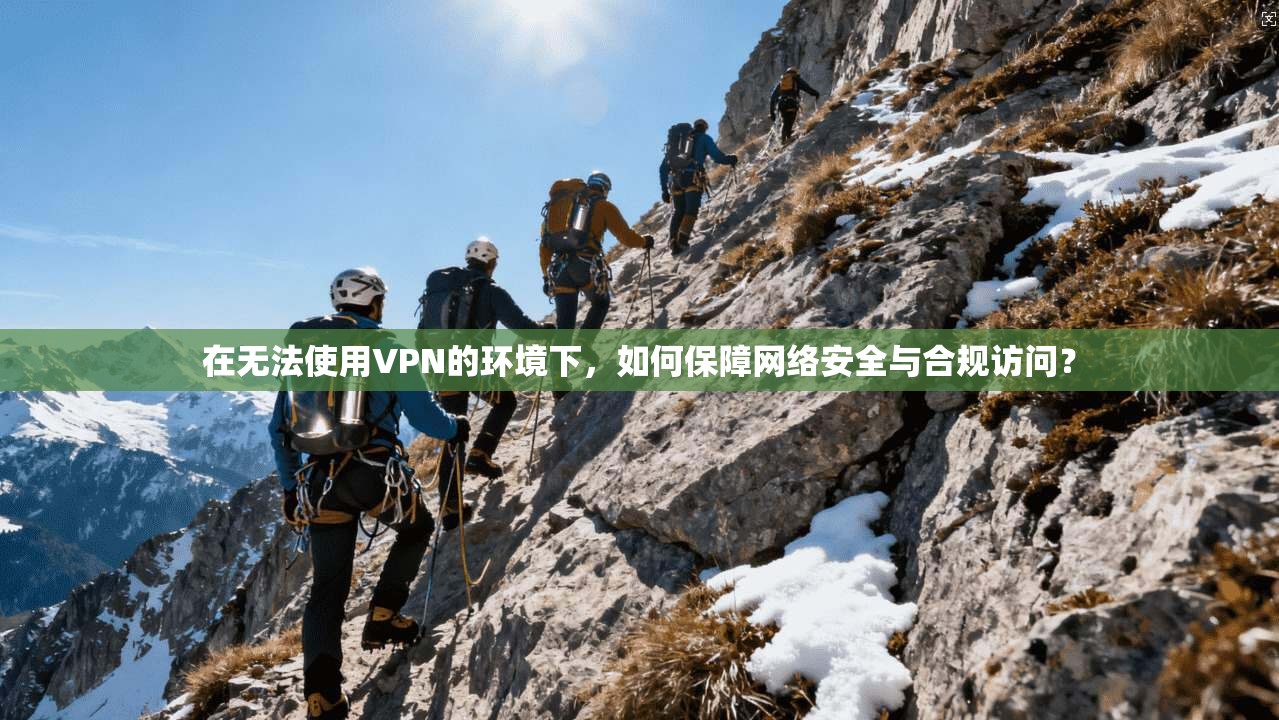 在无法使用VPN的环境下，如何保障网络安全与合规访问？