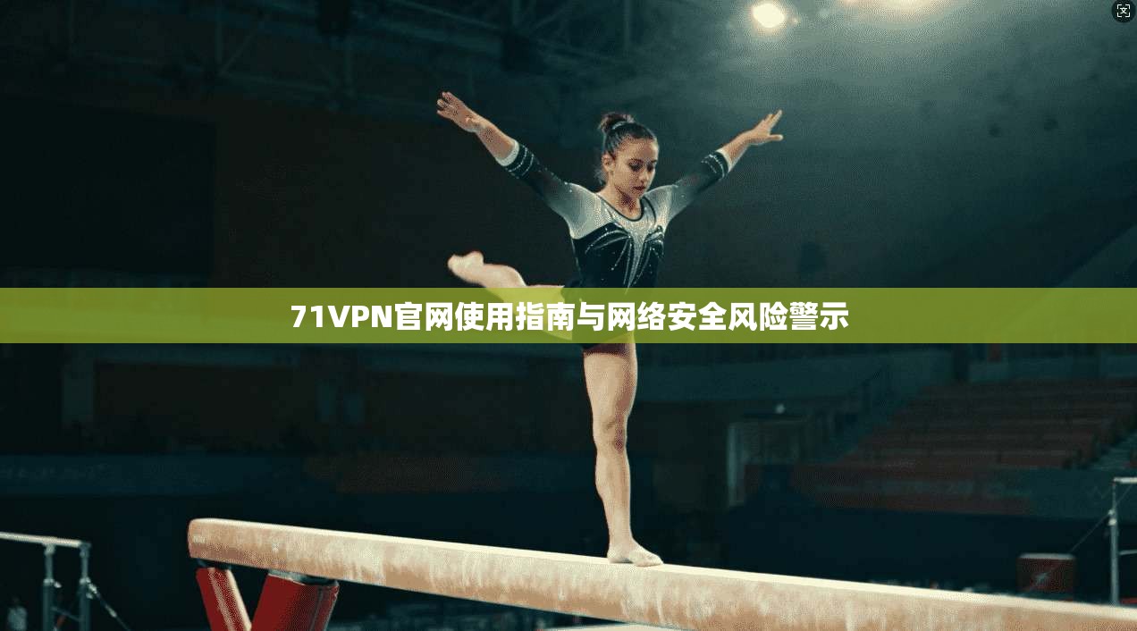 71VPN官网使用指南与网络安全风险警示