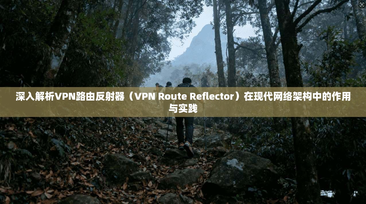 深入解析VPN路由反射器(VPN Route Reflector)在现代网络架构中的作用与实践 深入解析VPN路由反射器(VPN Route Reflector)在现代网络架构中的作用与实践
