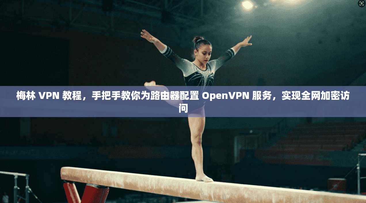 梅林 VPN 教程，手把手教你为路由器配置 OpenVPN 服务，实现全网加密访问