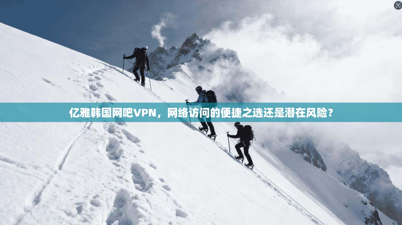 亿雅韩国网吧VPN，网络访问的便捷之选还是潜在风险？