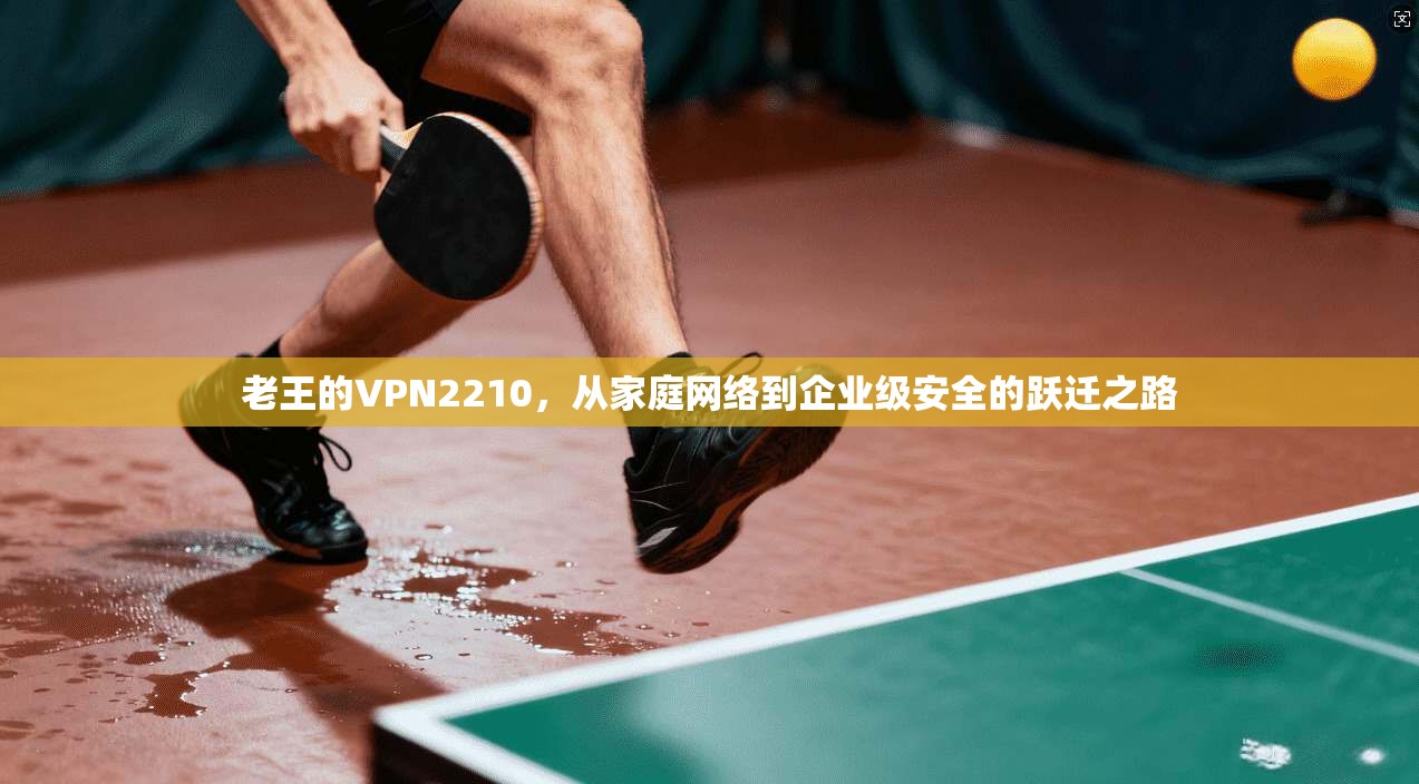 老王的VPN2210，从家庭网络到企业级安全的跃迁之路