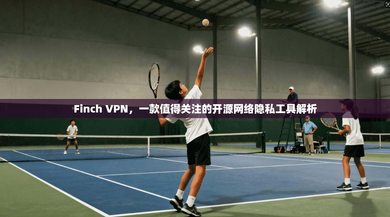 Finch VPN，一款值得关注的开源网络隐私工具解析