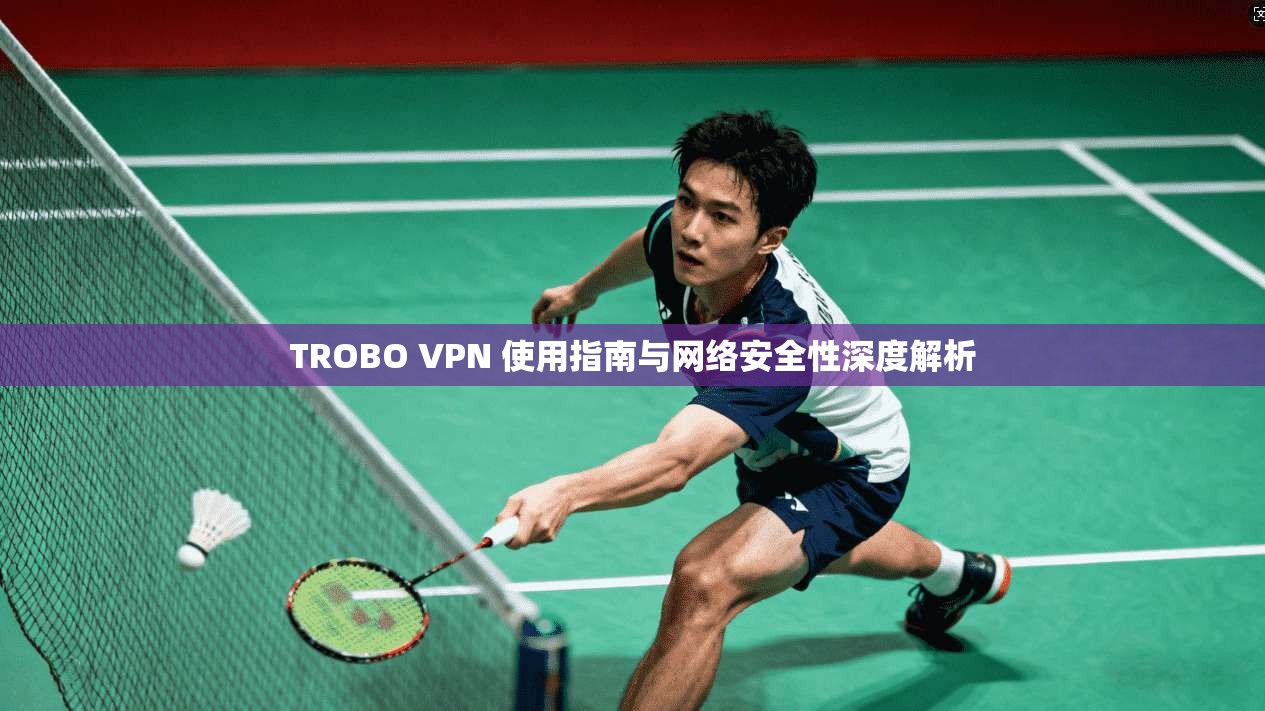 TROBO VPN 使用指南与网络安全性深度解析
