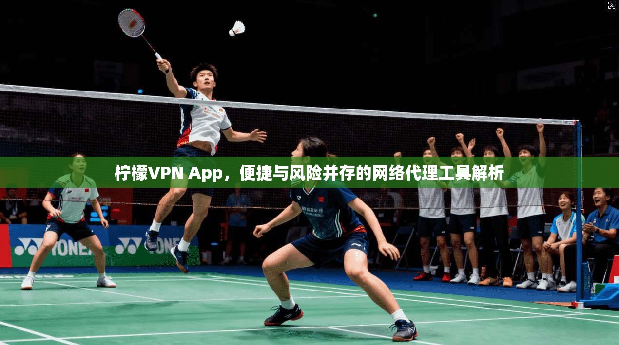 柠檬VPN App，便捷与风险并存的网络代理工具解析