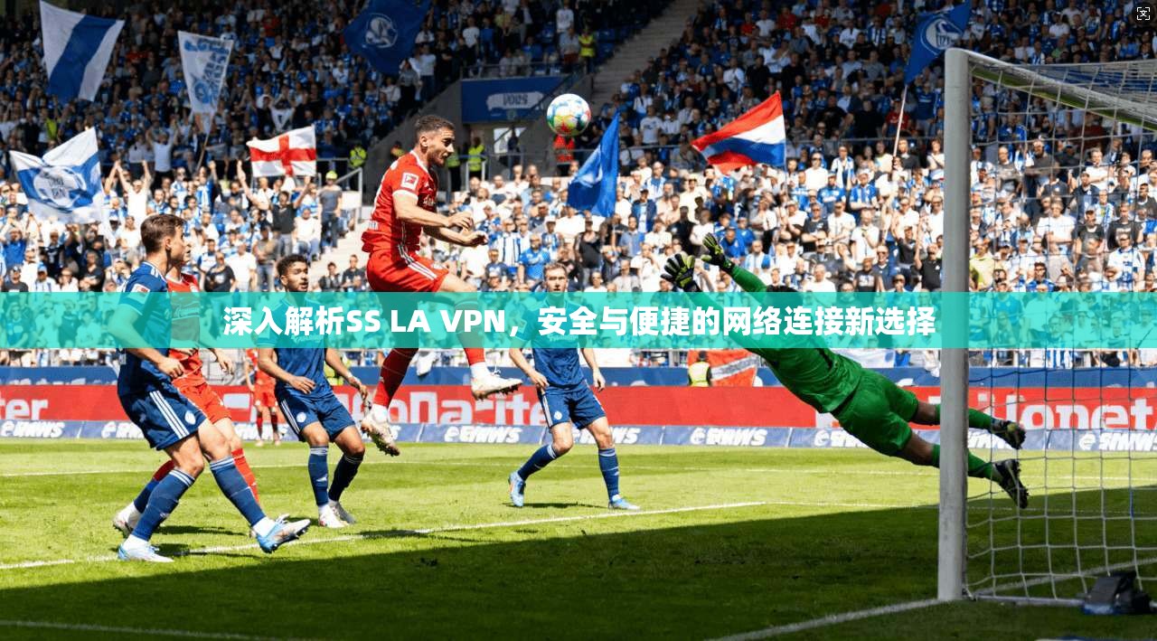 深入解析SS LA VPN，安全与便捷的网络连接新选择