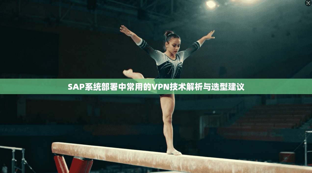 SAP系统部署中常用的VPN技术解析与选型建议