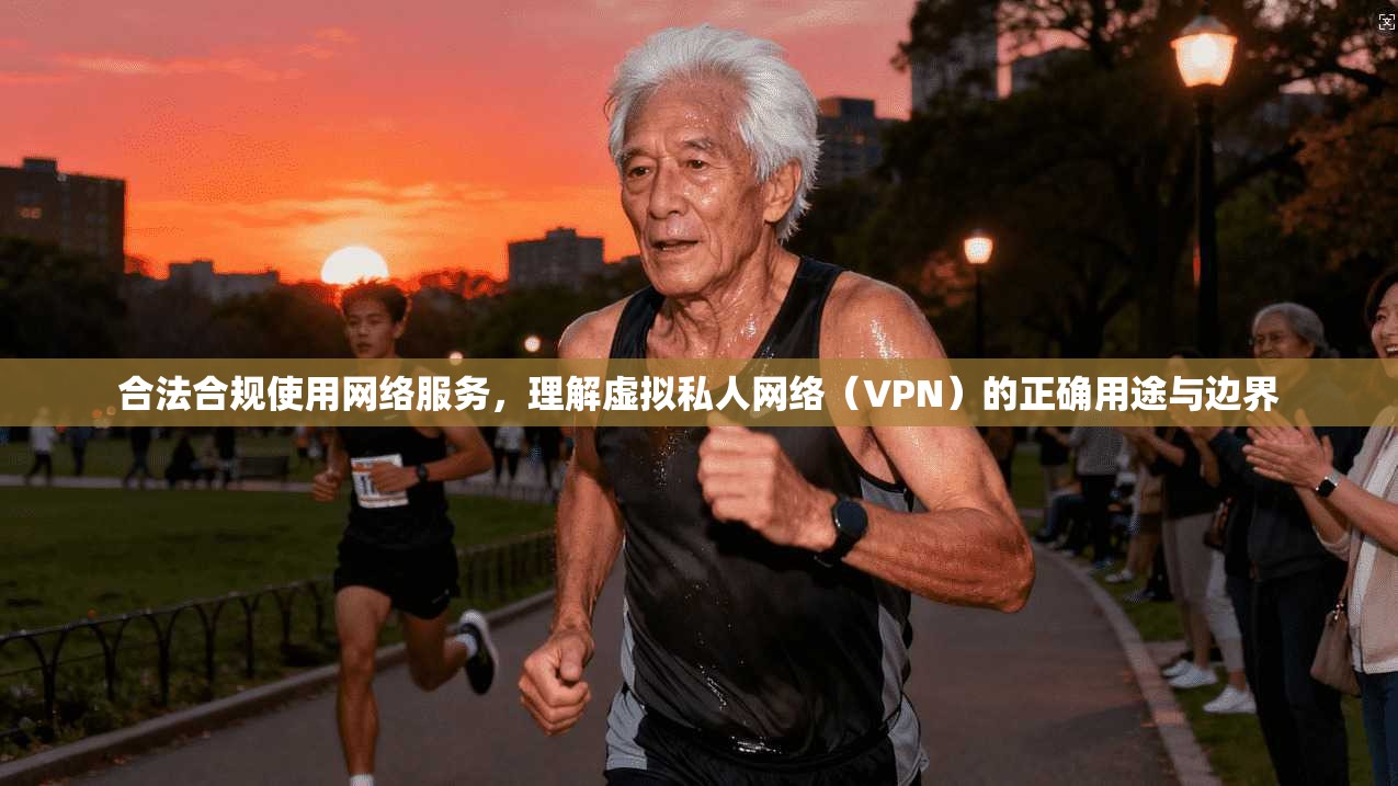 合法合规使用网络服务，理解虚拟私人网络（VPN）的正确用途与边界