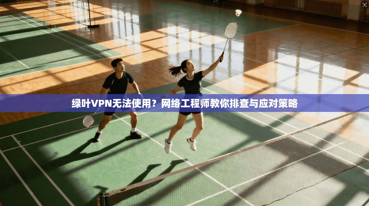 绿叶VPN无法使用？网络工程师教你排查与应对策略