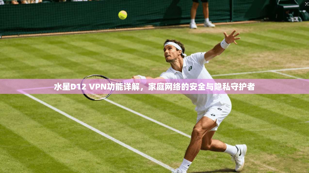 水星D12 VPN功能详解，家庭网络的安全与隐私守护者